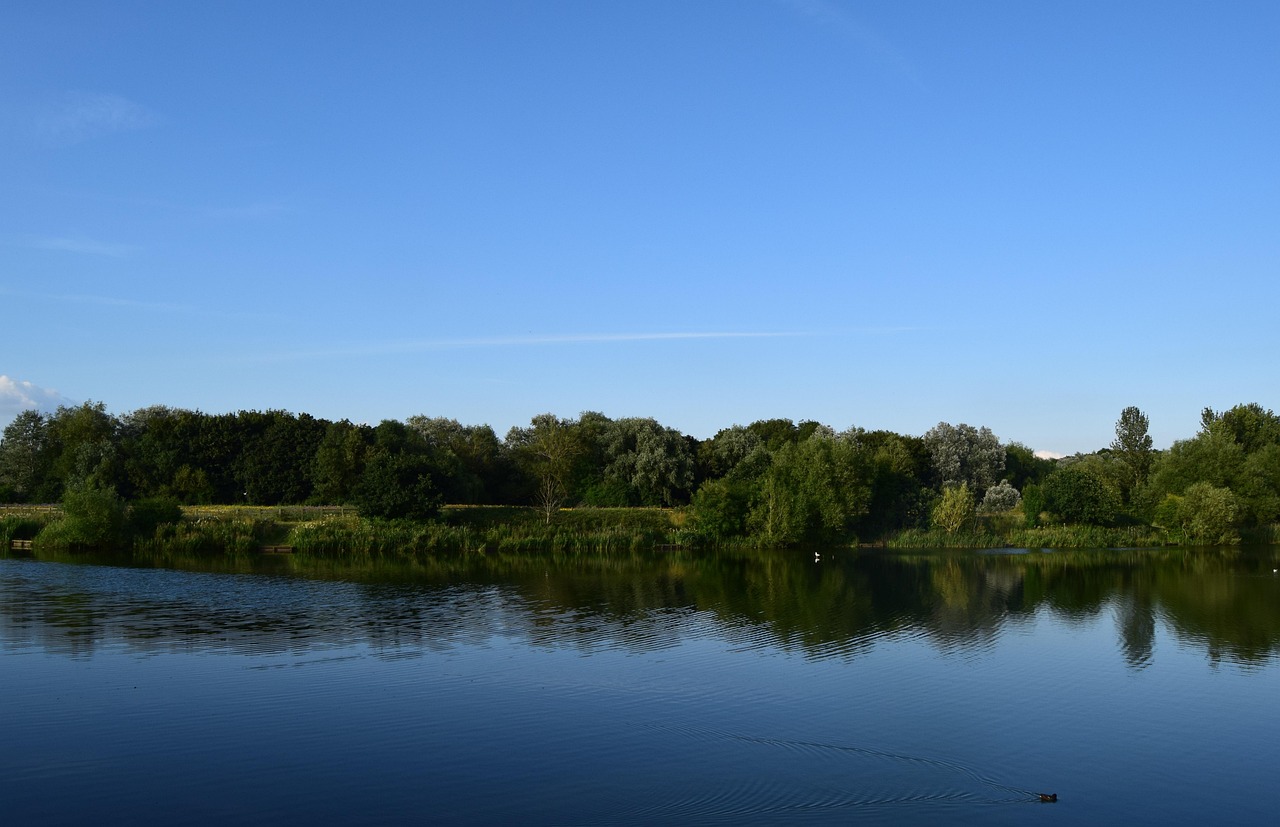 milton lake